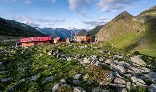 Mountain hut Lasörlinghütte in the evening light, mountain landscape with alpine roses,