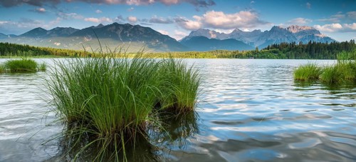 Evening mood at Barmsee with reeds, view of the Karwendel mountains, Krün, Bavaria, Germany, Europe