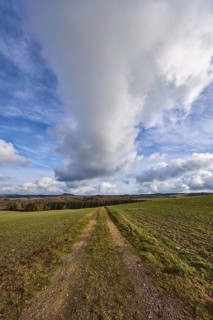 Agriculture, fields, hilly landscape, coniferous forest, landscape, landscape photography, blue
