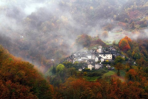 Village view of Corippo in the fog surrounded by autumn-coloured deciduous trees, Verzasca Valley,
