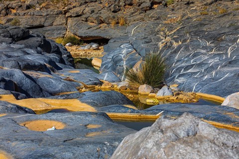 Waterhole in the Wadi Dam, near the town of Al Ayn, Arabian Peninsula, Sultanate of Oman