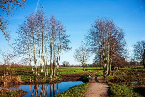 Ruiten Aa catchment area, river, Smeerling, Onstwedde, Groningen, Netherlands