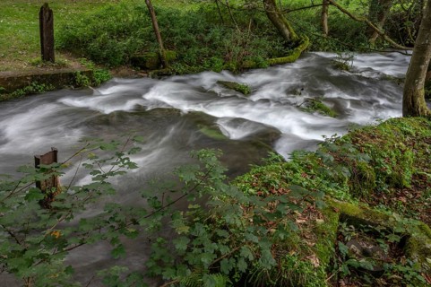 Rapids of the Trubach, Trubach Valley, Egloffstein, Upper Franconia, Bavaria, Germany, Europe