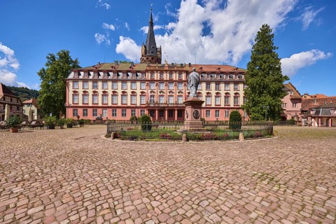 Monument to Count Franz, Erbach Castle, trees, cobblestones, blue sky with cumulus clouds, market