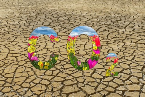 Symbolic image, carbon dioxide CO2, climate protection, climate change, world worth living in,