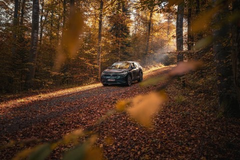 Car driving slowly through a quiet, autumnal forest path in the sunlight, electric car VW ID5,