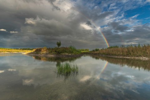 Large double rainbow after a spring storm. Bas-Rhin, Alsace, Grand Est, France, Europe
