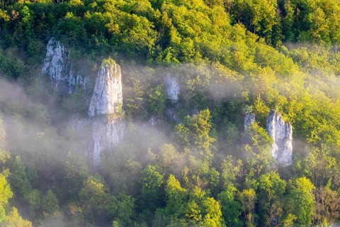 Limestone cliff tops between mixed forest, fog, band rocks, Leibertingen, Upper Danube nature park