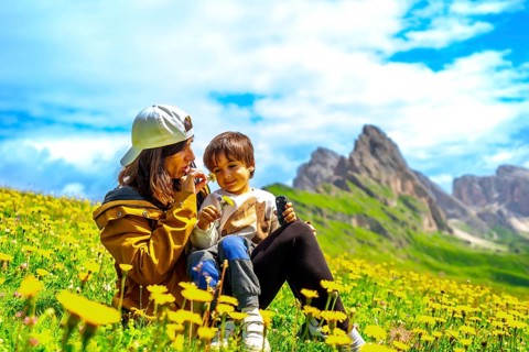 Tourists enjoying summer in the italian alps, smelling wildflowers with the odle mountains in the