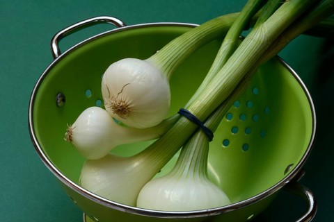 Onion, spring onions in sieve pot