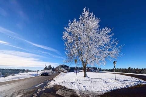 Winter landscape with federal road B500, bus stop Gasth. Kreuz and free-standing snow-covered tree,