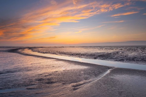 View of a tidal flat in the Wadden Sea at low tide at sunset, National Park, Unesco, World Natural