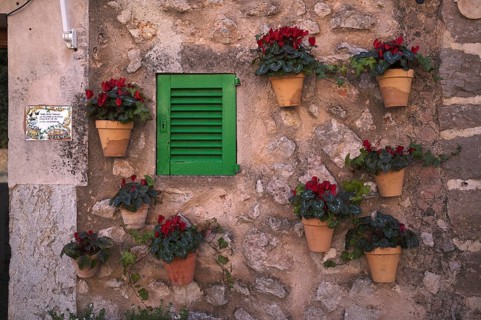 Flower pots on the wall, alleyway of plants, alley, Valldemossa, Tramuntana Mountains, Serra de