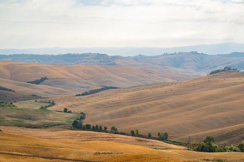 Typical Tuscan landscape in Crete Senesi with hills, trees, fields, cypresses and farm road in