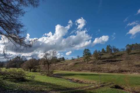 Franconian landscape with bare trees in February, Thuisbrunn, Upper Franconia, Bavaria, Germany,