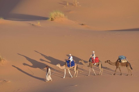 Tourists riding on camels in the dunes, Great Sand Sea, Sahara, Merzouga, Meknès-Tafilalet region,