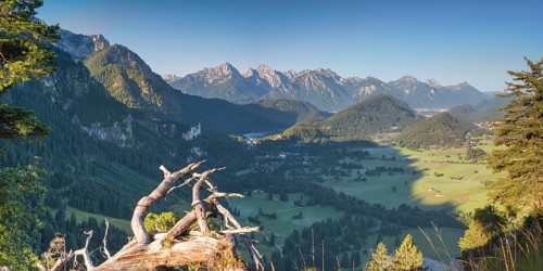 Neuschwanstein Castle, Hohenschwangau near Füssen, Ostallgäu, Allgäu, Bavaria, Germany, Europe