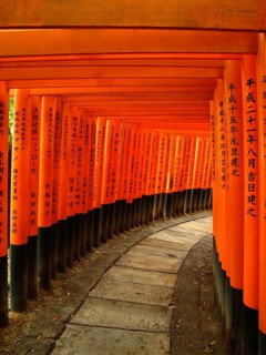 Red Gates, Torii Gates, Avenue of Torii, Taisha, Kyoto, Tori, Fushimi Inari Shrine, Kyoto, Japan,