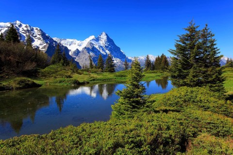 Eiger and Mönch, Bernese Oberland, Switzerland, Europe