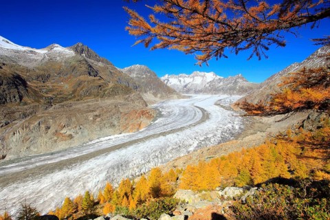 Great Aletsch Glacier and Wannenhorns, Valais, Switzerland, Europe