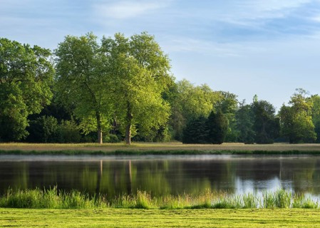 Morning atmosphere in Wörlitz Park, fog on the water, Garden Kingdom Dessau-Wörlitz, Wörlitz,