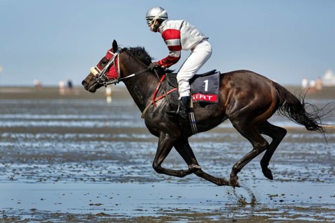 Rider, horse at a gallop, gallop race in the mudflats, Duhner Wattrennen 2019, Duhnen, Cuxhaven,