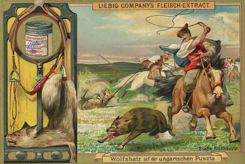 Picture series Hunting, wolf hunt, wolf hunt in the Hungarian Puszta, Liebig picture, digitally