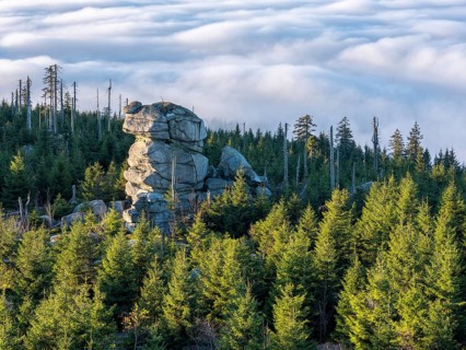 View from the summit of the Dreisesselberg (1333m) over rock tower, forest and sea of fog,
