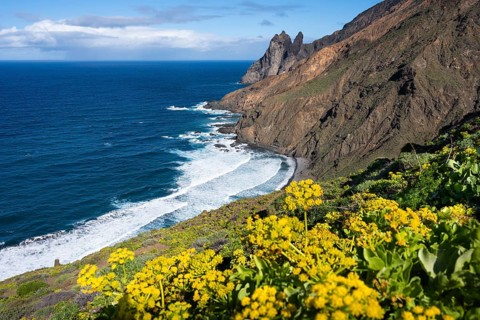 The north-west coast of La Gomera with the Playa de Arguamul beach. Mountains, cliffs and steep