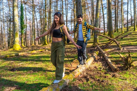 Hikers with backpacks carefully balancing on fallen tree trunk while enjoying hike through sunny