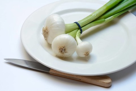 Onion, spring onions and knife on plate