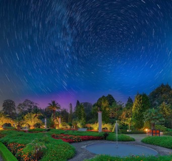 Palmengarten night starry sky long exposure Bad Pyrmont Germany