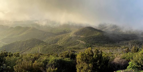 Sunset, view from the mountain Alto de Garajonay, Garajonay National Park, La Gomera, Canary