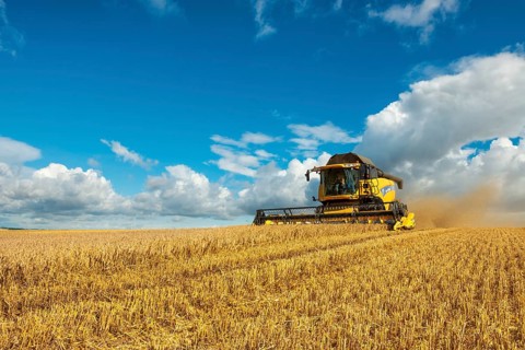 Combine harvester harvesting barley, endless cornfield, blue sky with cumulus clouds, Saalekreis,
