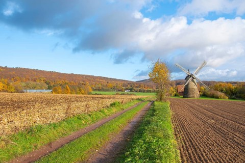 View of the Eisbergen windmill or Röckemann's mill, Porta Westfalica, Minden Lübbecke district,