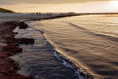 Baltic Sea beach, Baltic Sea coast with the Wustrow pier, evening mood, Baltic seaside resort