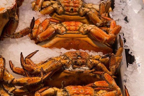Close-up of crabs lying on ice, with detailed textures and colours, fish market, Trouville-sur-Mer,