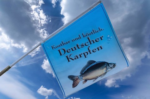Flag with a carp in front of a fish restaurant, Nuremberg, Middle Franconia, Bavaria, Germany,