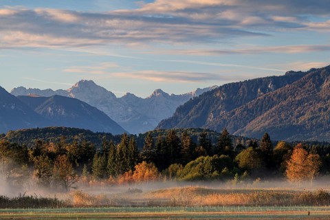 Foggy mood over trees in the morning light, mountain landscape, autumn, near Murnau, behind