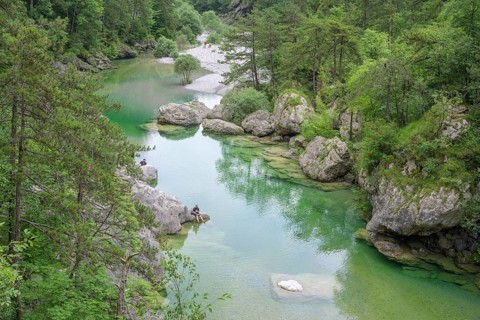 Emerald green river Pozze Smeraldine, Tramonti di Sopra, Province of Pordenone, Italy, Europe