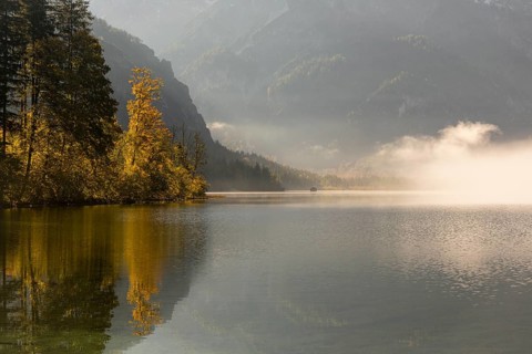 Lake Almsee in autumn with a forest reflected in the lake. A slowly dissipating fog moves over the