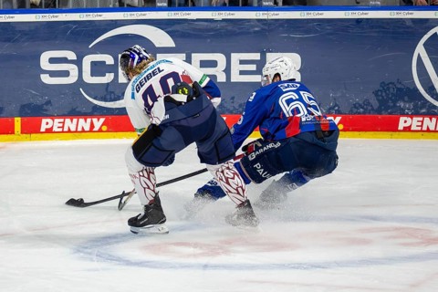 DEL, German Ice Hockey League season 2024/25, 52nd matchday: Adler Mannheim vs Eisbären