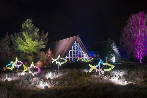 Colourful fish light installations and illuminated buildings at night, World of Lights,