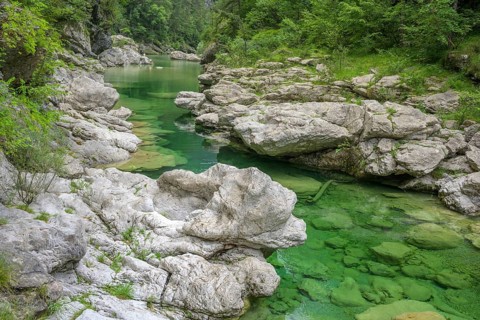 Emerald green river Pozze Smeraldine, Tramonti di Sopra, Province of Pordenone, Italy, Europe