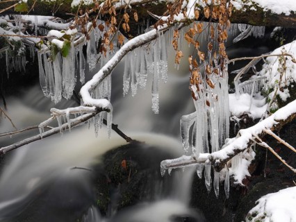 Icicles on the hill stream the Schwartzbach, in snow and ice in November. The Rhön UNESCO Biosphere