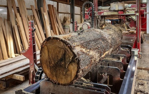 Solingen, North Rhine-Westphalia, Germany - Oak logs on the bandsaw in the sawmill, construction