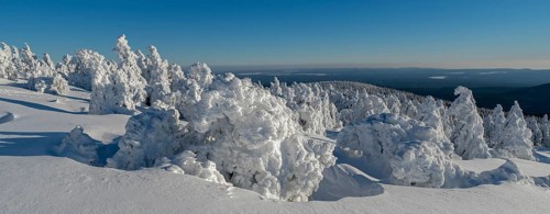 Brocken winter snowy firs panorama Harz Germany