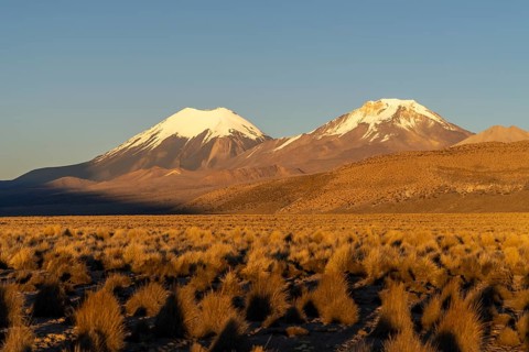 Snow-capped volcanoes Parinacota and Pomerape at dawn, Sajama National Park, Puna vegetation,