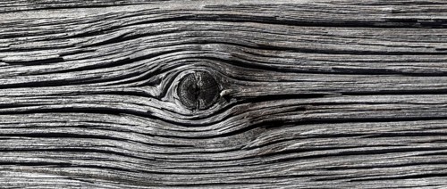 Old weathered wooden plank with knothole on a wooden wall, Upper Austria, Austria, Europe