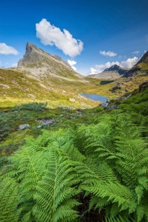 View of the Alnesdalen valley, Stigbotthornet mountain, Alnesvatnet lake, Reinheimen National Park,